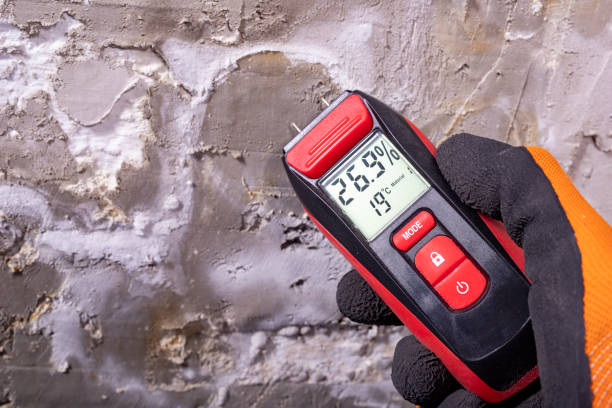 Best Best Mold Removal Companies  in St Marys, KS