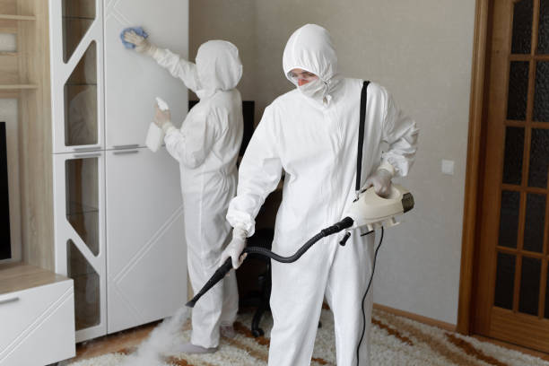 Certified Mold Removal in St Marys, KS