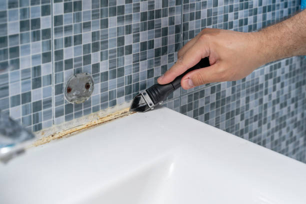 Best Commercial Mold Removal  in St Marys, KS