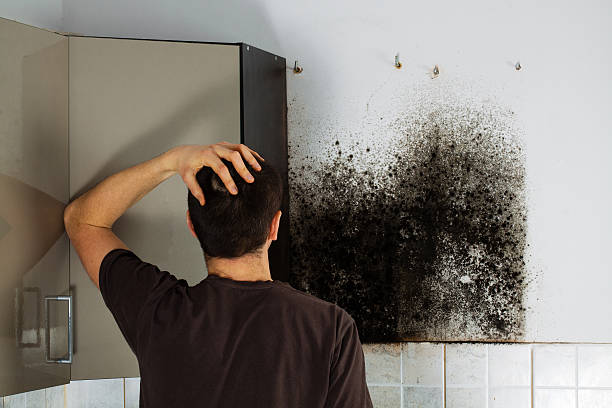 Best Certified Mold Removal  in St Marys, KS